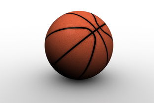 爱游戏亚洲官网-塔斯马尼亚联球迷现场助威,球队斗志昂扬